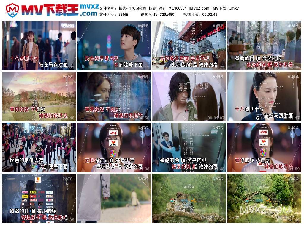 杨紫-有风的夜晚_国语_流行_ME100581